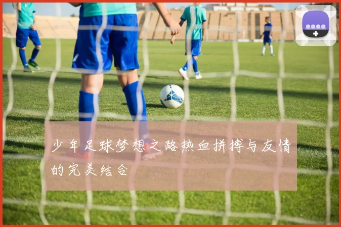 少年足球梦想之路热血拼搏与友情的完美结合