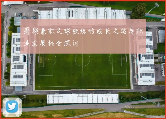暑期兼职足球教练的成长之路与职业发展机会探讨